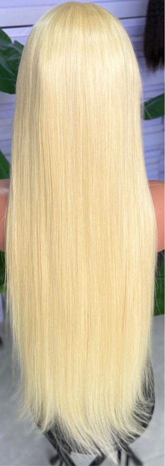 613 HD Closure Wig