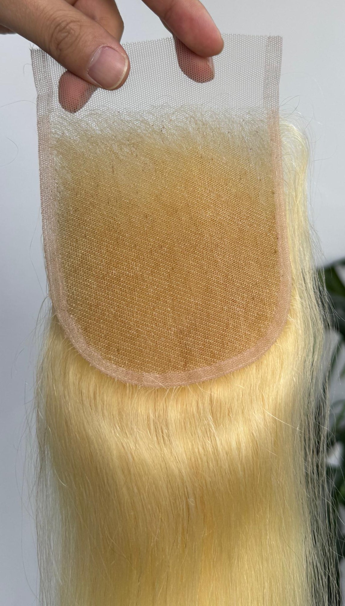 613 Transparent Lace Closure